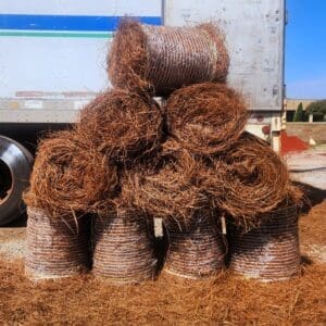 Pine Straw